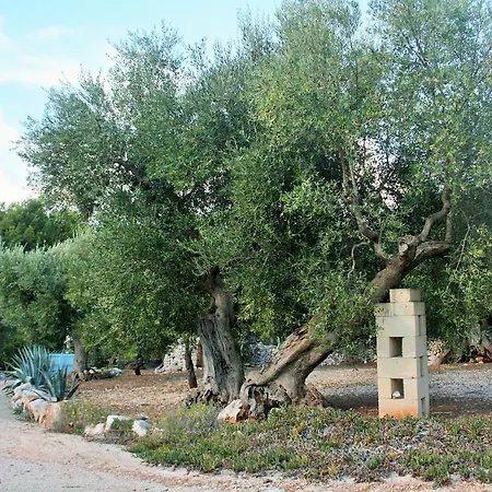 Masseria Torre Vigna Panzió *