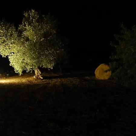 Masseria Torre Vigna Panzió